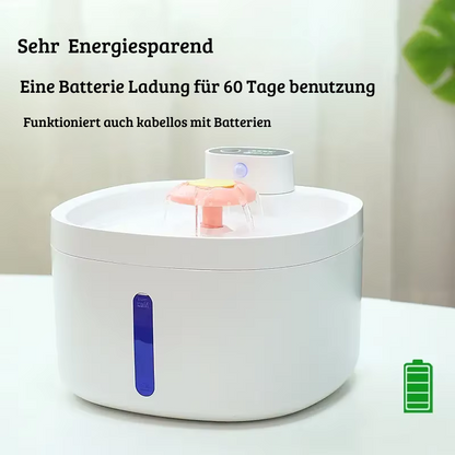 Automatischer stainless steel Haustier Wasserbrunnen