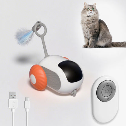 Elektrisches Katzenspielzeug mit Auto-Modus & Fernsteuerung