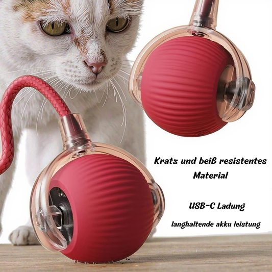 Smarter elektrischer Katzenball